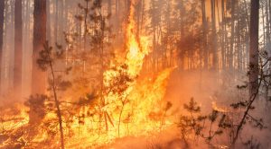 incendie faucon vaucluse provence danger prefecture